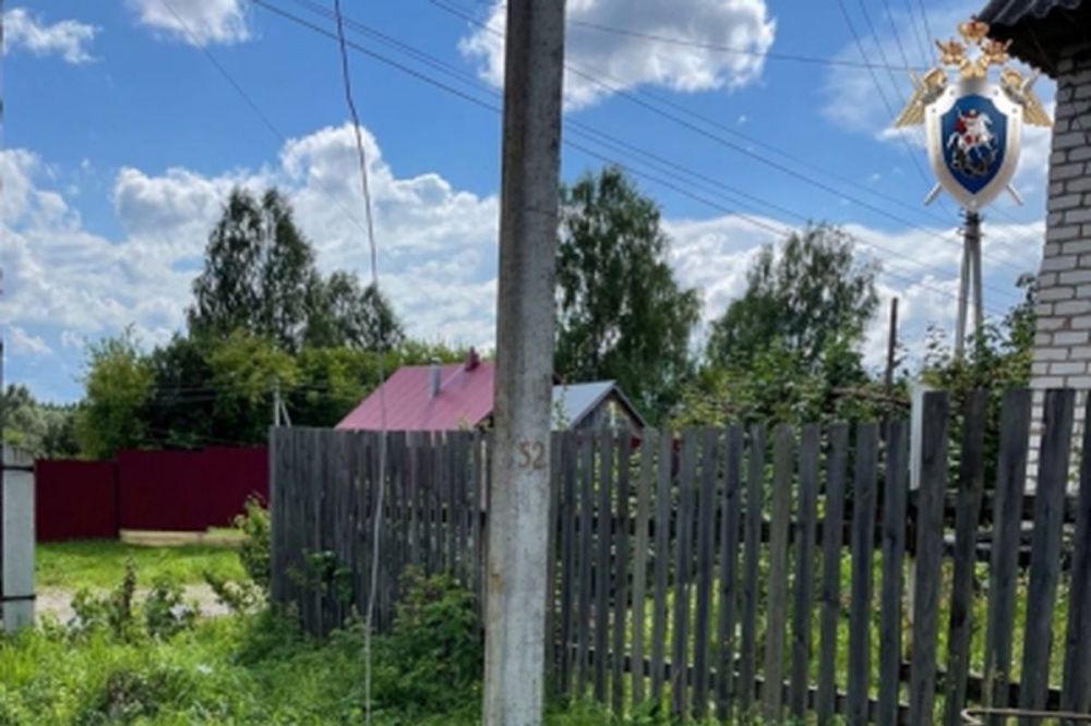 Семилетний мальчик погиб от удара тока в Уренском районе 30 июля