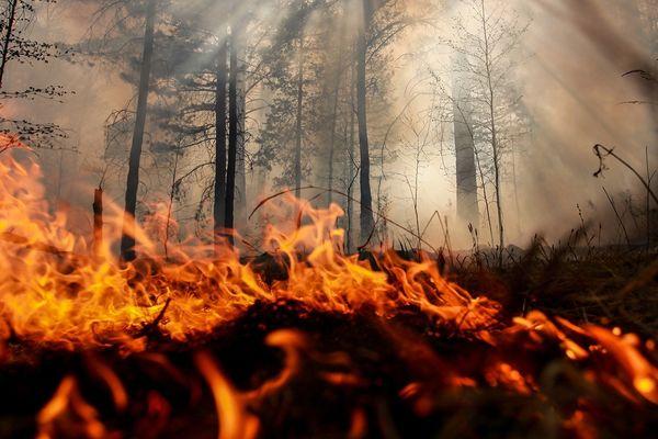 Чрезвычайная пожароопасность лесов и торфяников сохранится в Нижегородской области до 17 сентября