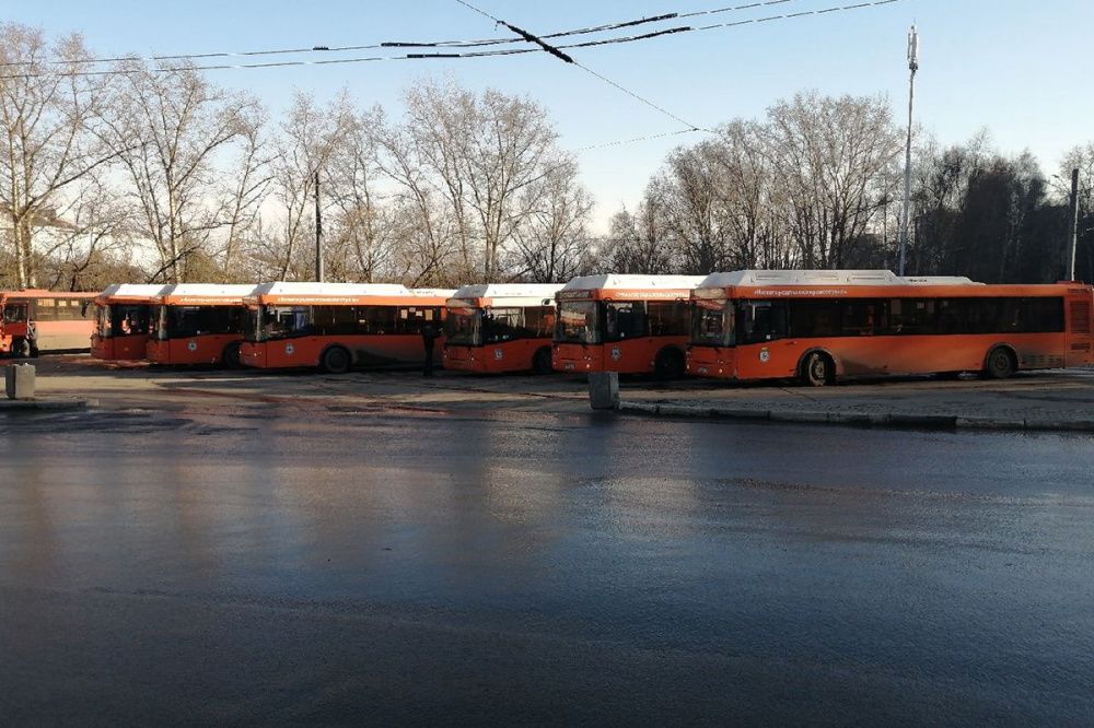 Более 150 водителей НПАТ находятся на больничном в Нижнем Новгороде