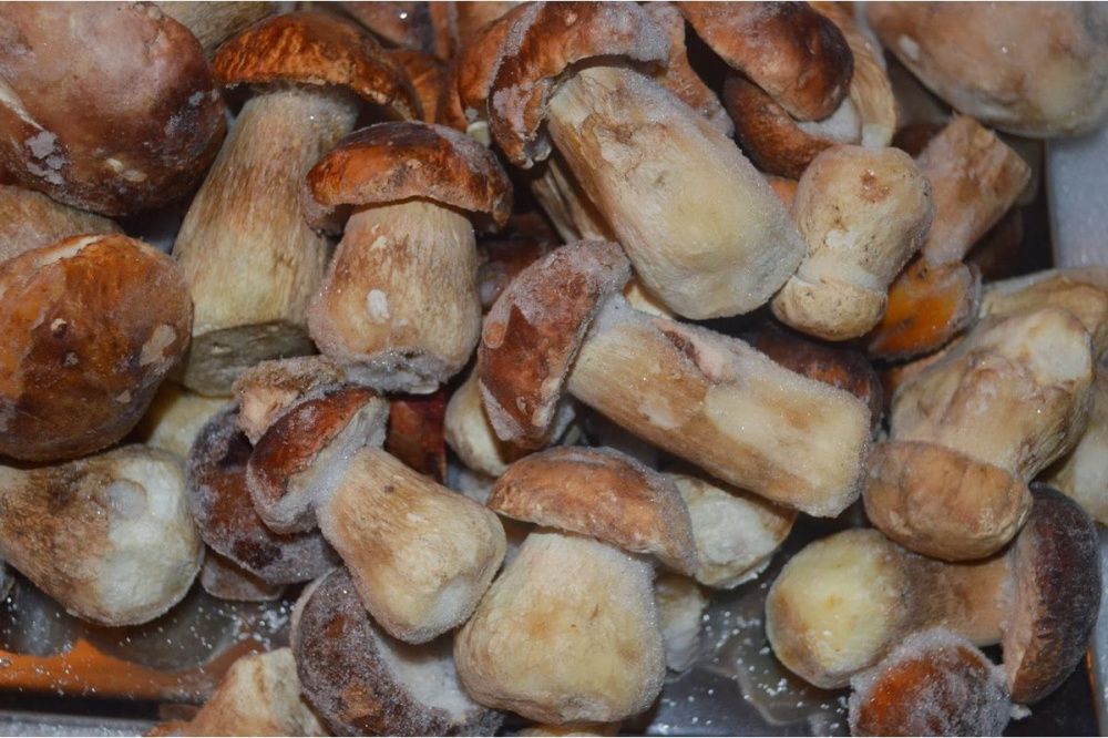 Сотрудники нижегородской лаборатории обнаружили ртуть в замороженных грибах