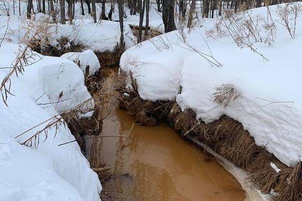 В Росприроднадзоре по Нижегородской области выяснили причину окрашивания воды в реке Везлома 