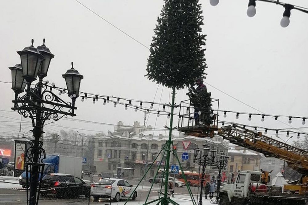Фото Новогодние елки начали устанавливать на улицах Нижнего Новгорода - Новости Живем в Нижнем