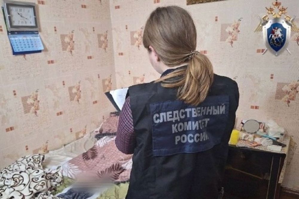 СК организовал проверку из-за гибели девочки в Лысковском районе