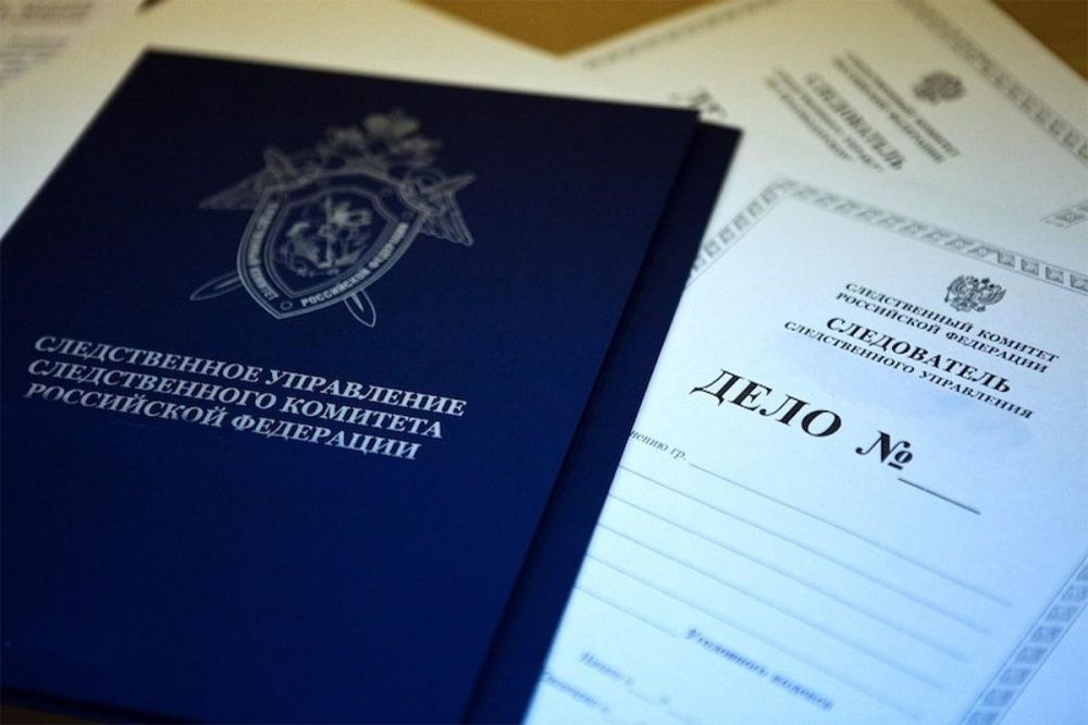 Фото Нижегородские полицейские присваивали госпошлину за оформление загранпаспортов - Новости Живем в Нижнем