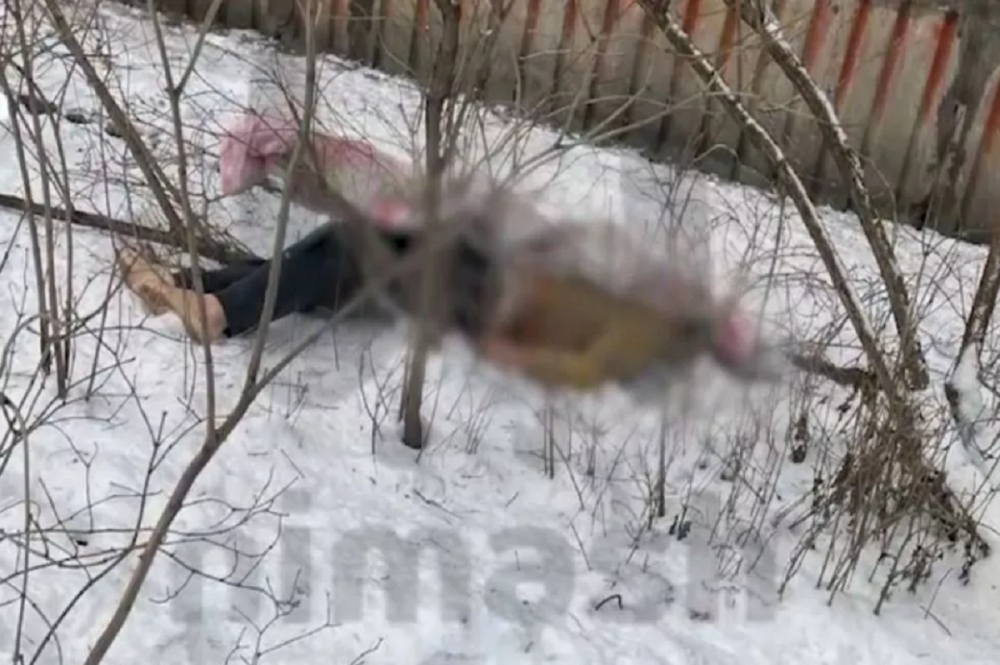Фото Выпавшего из окна на улице Володарского мужчину заподозрили в педофилии - Новости Живем в Нижнем