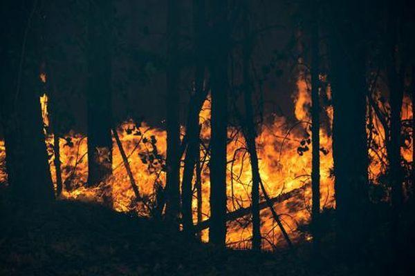 Фото Почти 13 гектаров леса горело в Нижегородской области 30 июня - Новости Живем в Нижнем