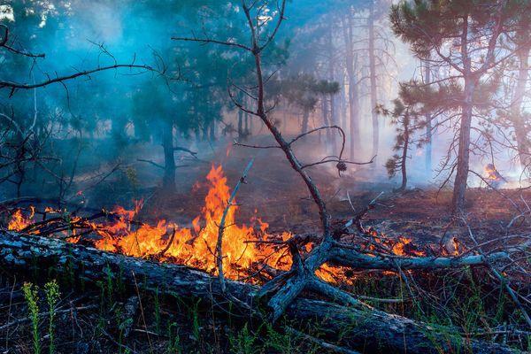 Пожароопасность лесов и торфяников сохранится в Нижегородской области до 7 сентября