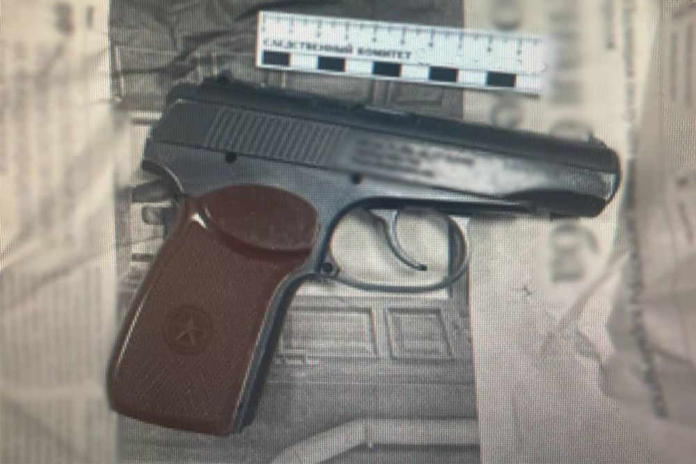 Стрелявший в 13-летнюю девочку житель Кулебак предстанет перед судом