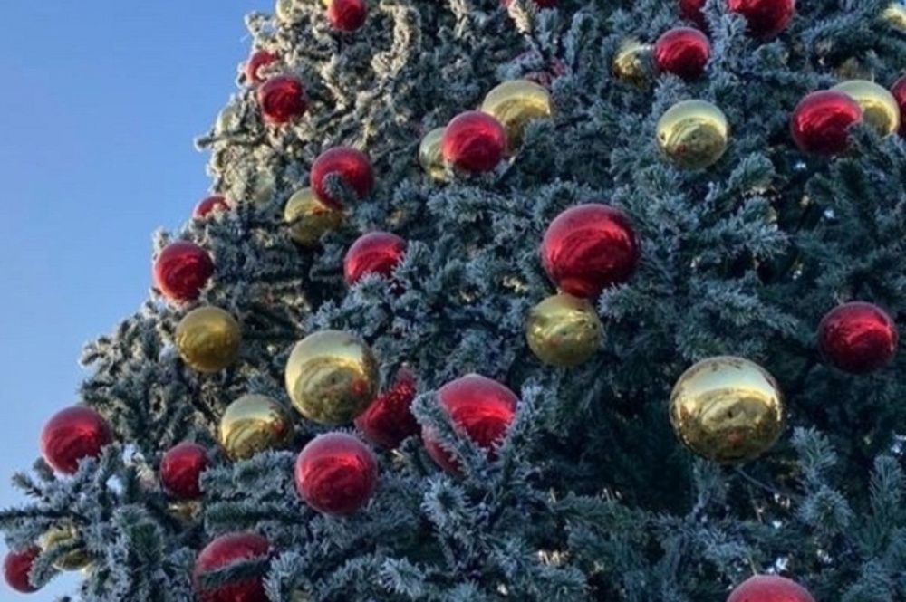Фото 12-метровую новогоднюю ель установили на площади Советской в Нижнем Новгороде - Новости Живем в Нижнем