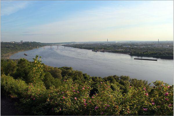 Фото Платный мост через Оку планируют построить в Нижнем Новгороде - Новости Живем в Нижнем