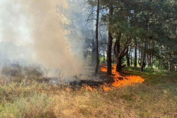 Высокая пожароопасность лесов сохранится в Нижегородской области до 3 сентября