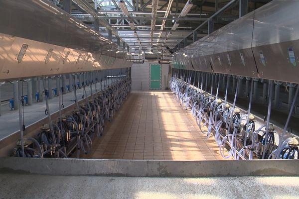 Крупнейшую молочную ферму построили в Ардатовском районе 