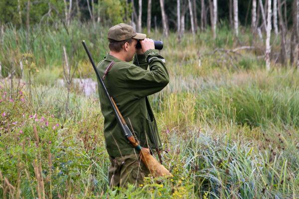 Сезон охоты на пушных животных открылся в Нижегородской области 15 сентября