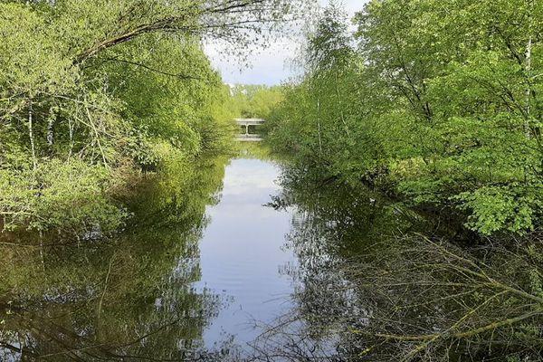 Берега нижегородской реки Борзовки очистят на субботнике 22 мая