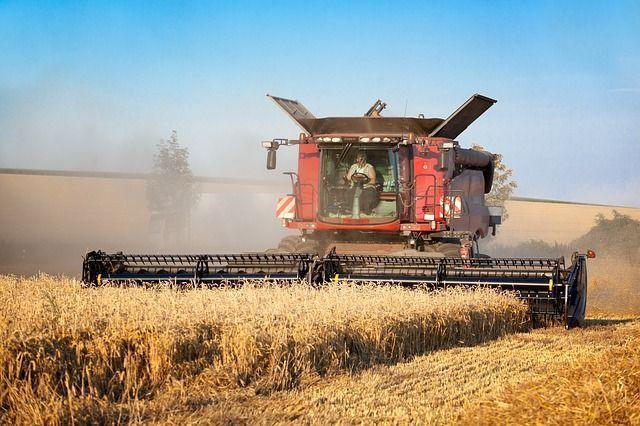 Нижегородские аграрии уже собрали 1,5 млн тонн зерна