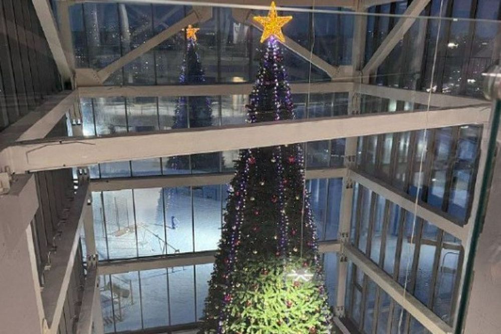 16-метровую новогоднюю ёлку установили в нижегородской «Школе 800»