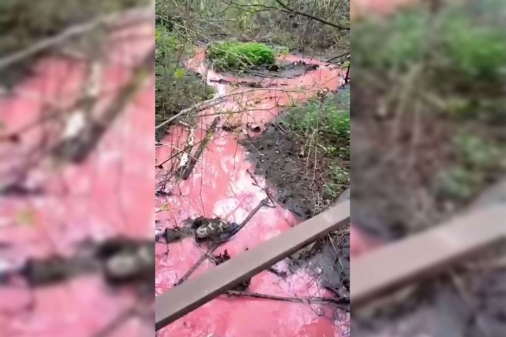 Ярко-розовая речка удивила жителей Кстовского района Нижегородской области