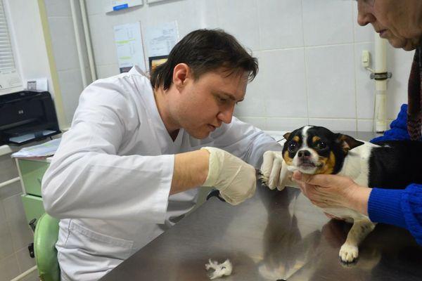 Новый ветеринарный кабинет открылся в Нижнем Новгороде 15 апреля