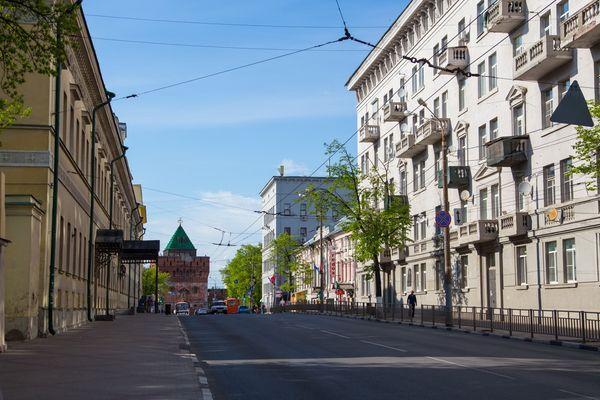 Более 200 деревьев спилили на улицах Минина и Варварской в Нижнем Новгороде за 12 лет