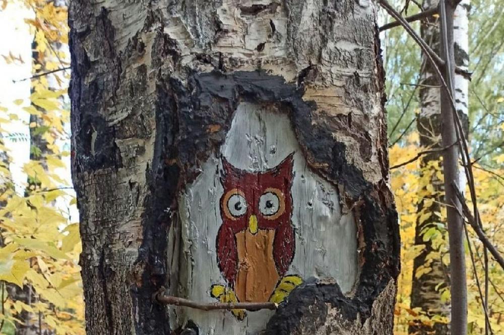 Экологическая акция по росписи деревьев прошла в нижегородском парке «Дубки»