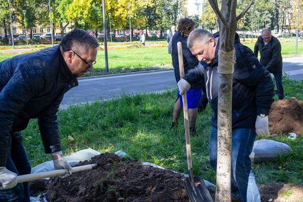 Второй этап озеленения городских территорий стартовал в центре Нижнего Новгорода