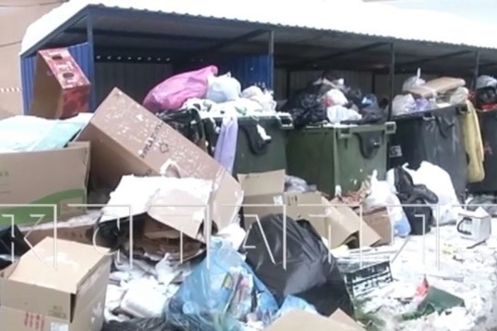 Нижегородцы пожаловались на стаи крыс в центре города из-за мусора