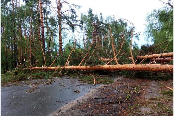 МЧС объявило штормовое предупреждение в Нижегородской области