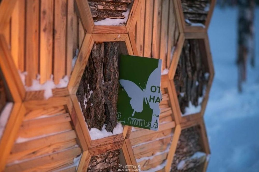Вандалы повредили отель для насекомых в нижегородском парке «Швейцария» 