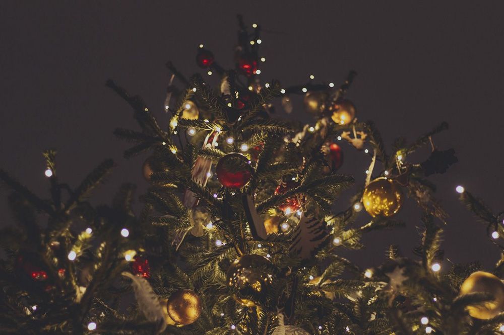 21% нижегородцев отправляет новогодние елки на переработку