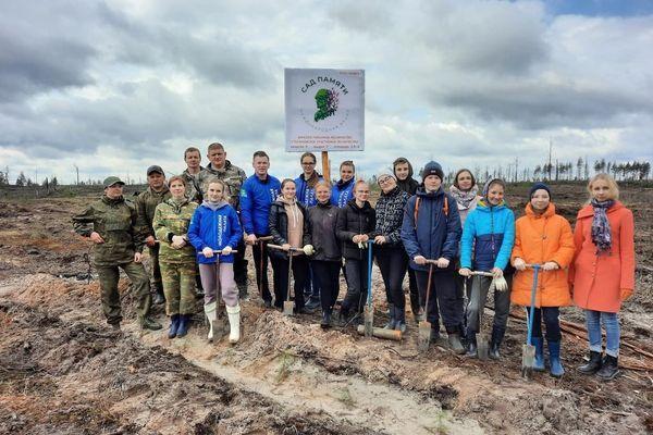 400 тысяч деревьев высадят в Нижегородской области в рамках акции «Сад памяти»