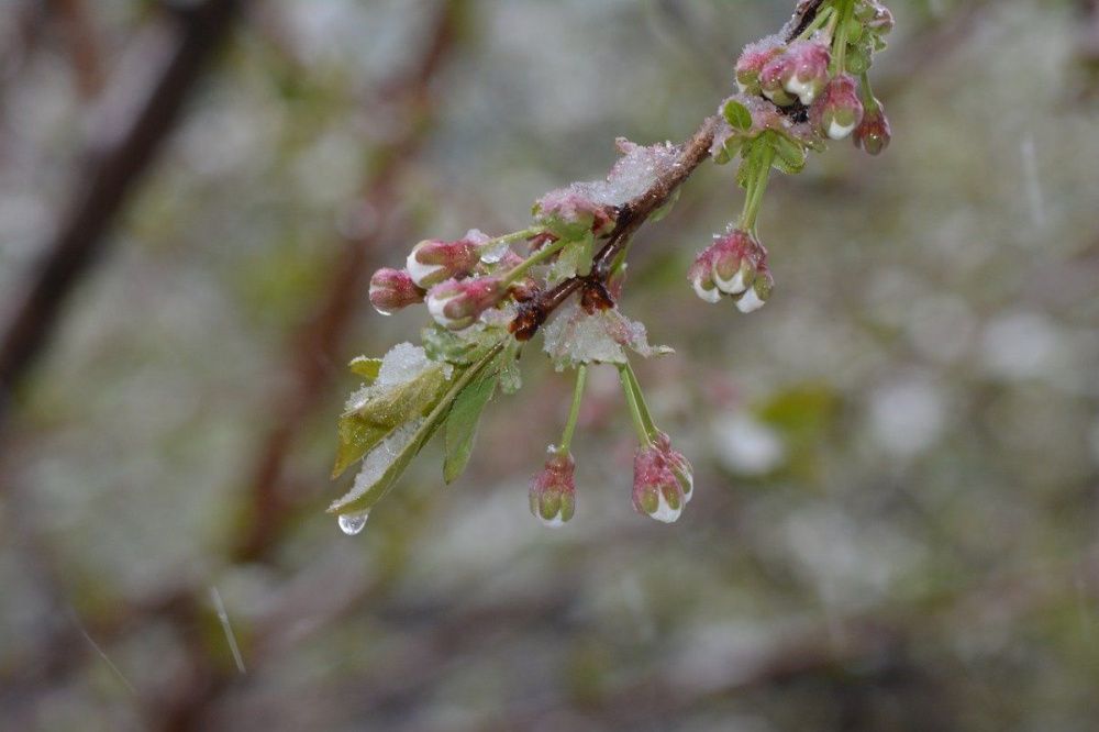Жителям Нижегородской области придется подождать метеорологическую весну