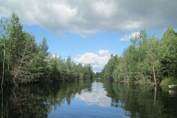 Концентрация вредных веществ в реке Нестериха в Нижегородской области превысила норму