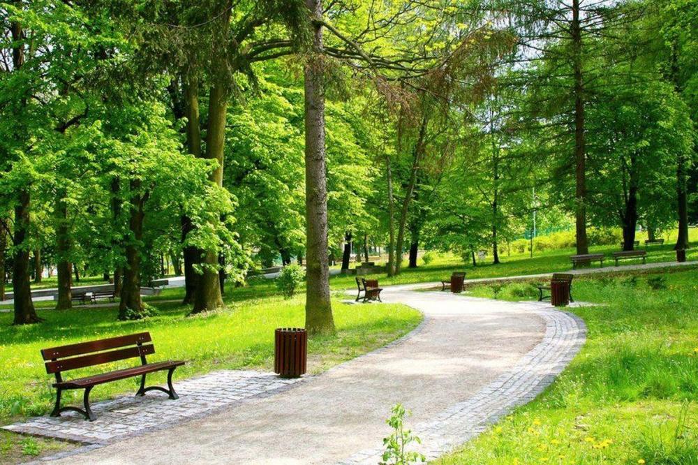 Парковую зону планируется обустроить в районе Кузнечихи в Нижнем Новгороде