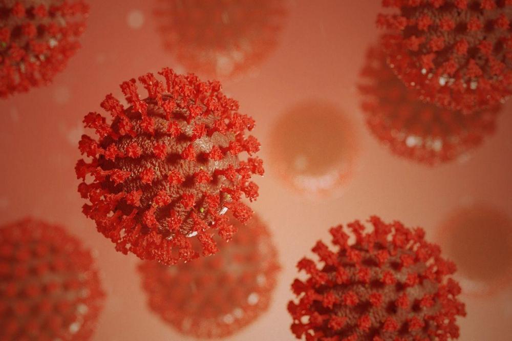 Фото Давид Мелик-Гусейнов высказал опасения о мутации коронавируса - Новости Живем в Нижнем