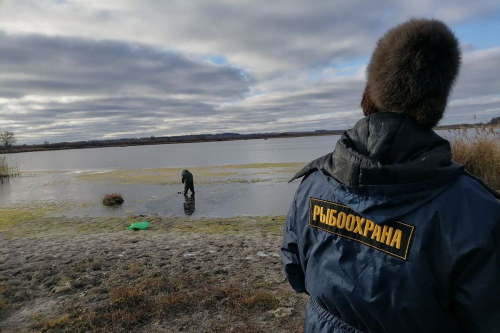Проект по оздоровлению реки Пьяна планируют реализовать в Нижегородской области