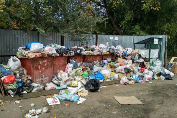Почти 1000 мусорных площадок установят на Бору