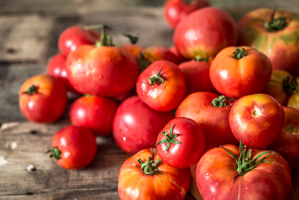 40 тонн зараженных томатов пытались ввезти в Нижегородскую область