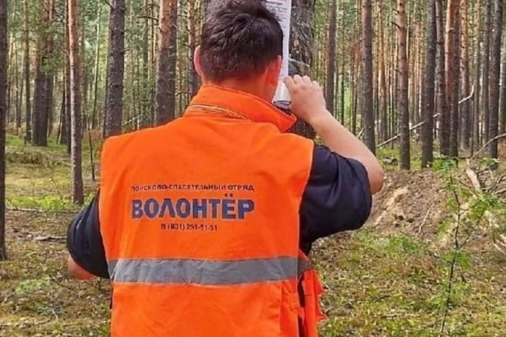 73-летний мужчина пропал в лесу в Нижегородской области 5 октября
