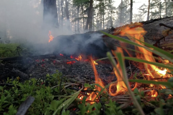Повышенная пожароопасность сохраняется в Нижегородской области 6 -10 июля