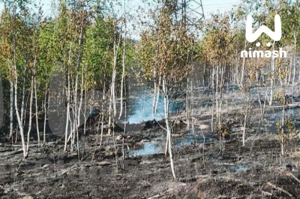 Пожар произошел в лесу под Дзержинском в Нижегородской области