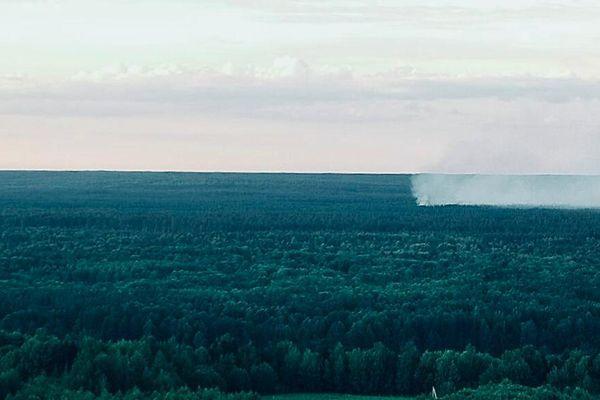 Два лесных пожара потушили в Нижегородской области