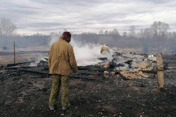 12 дач сгорели в селе Ивановское под Богородском из-за пала травы (видео)
