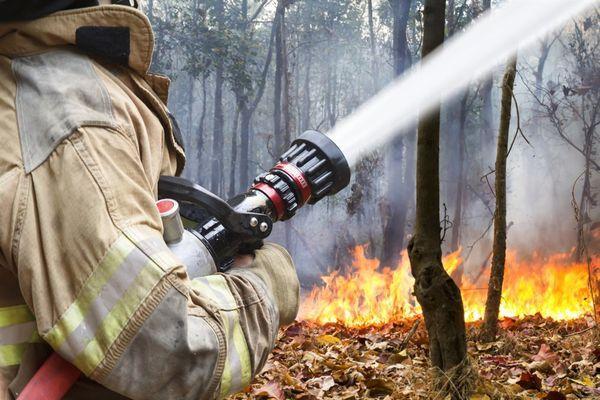 Высокая пожароопасность лесов и торфяников ожидается 1-2 июля в Нижегородской области