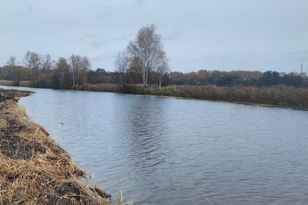Реки Имза и Княгинка расчищены за 10,6 млн рублей в Нижегородской области