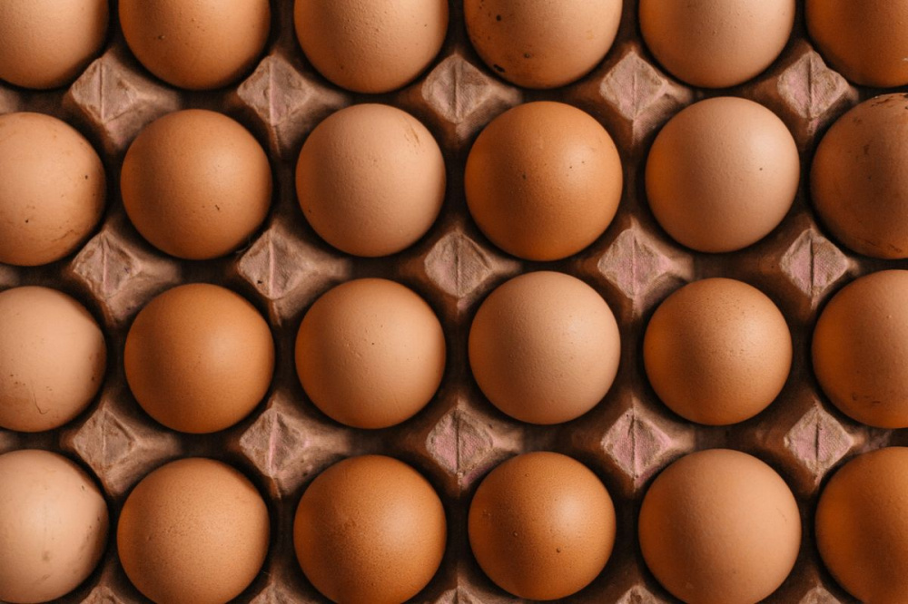 Цены на куриные яйца выросли в Нижегородской области на 58,1% за год