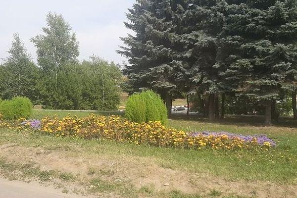 Цветники обновили на проспекте Гагарина по просьбе нижегородцев