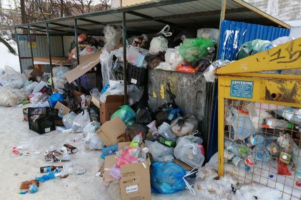 Более 100 тысяч жителей России проголосовало против сжигания мусора на территории страны