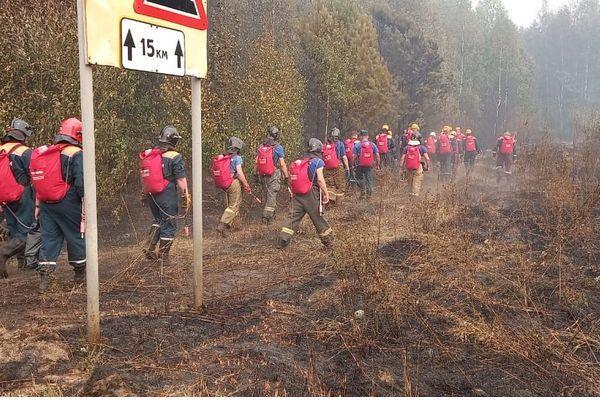 Два лесных пожара локализовали в Первомайском районе