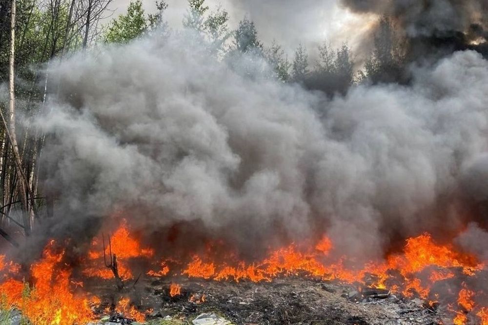 Свалка загорелась у поселка Селекционной станции в Кстовском районе 7 июня