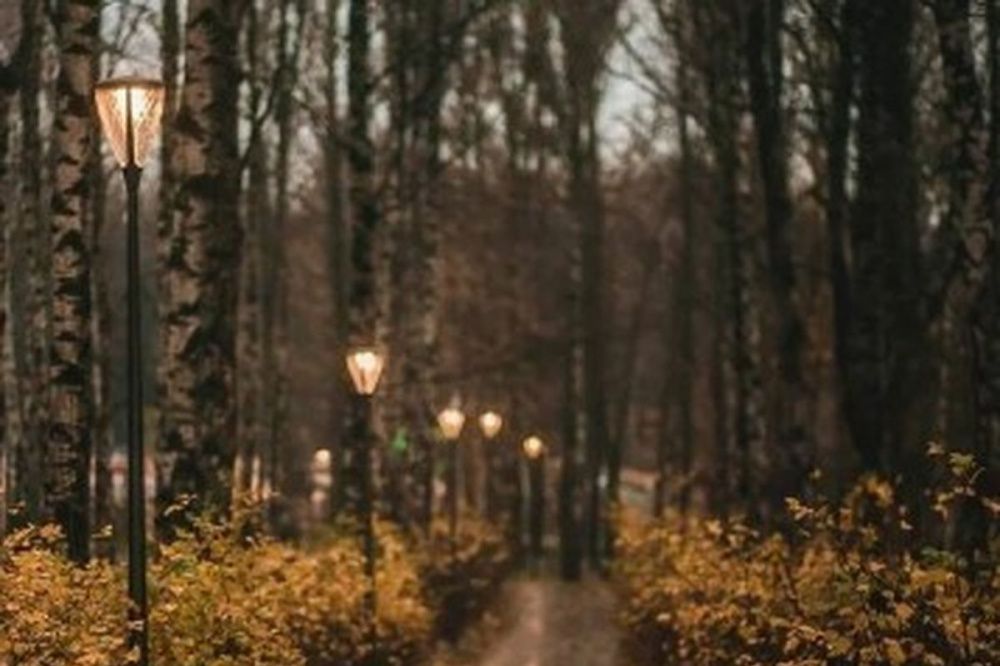 Фото Нижегородский парк «Швейцария» победил во всероссийском конкурсе светодизайна - Новости Живем в Нижнем